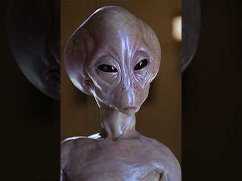 comment faut le prendre ?