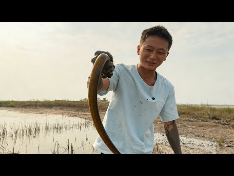 A 2000 yuan gamble! One last desperate attempt at fishing – will I make it ashore? #HotTopic #fis...