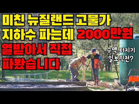 뉴질랜드 고물가 2천만원 아낀다기에 직접 시도해봤습니다