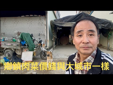 江門新會大鰲鎮街市煙火氣息，當地居民各類生活食品價格。