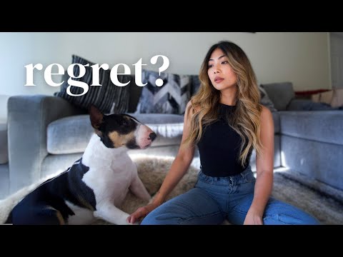 Why I started over in life & moved country in my 30s (Honest Vlog)