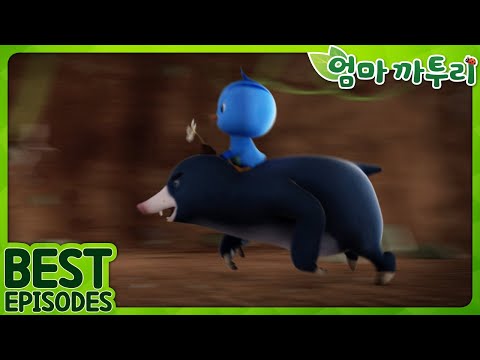 [엄마까투리 Best] 이렇게 빠르다고? | 엄마 까투리 | 까투리 | Katuri | 베스트 에피소드 모음 제 A22화