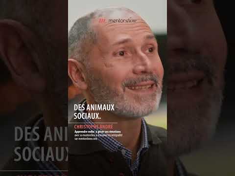 Dois-je rester seul ?