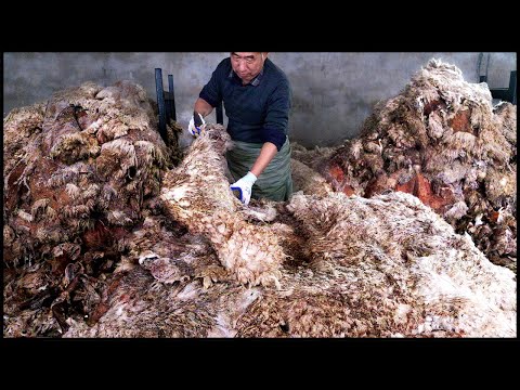 Amazing Rotten Sheepskin Refurbishment Process ! How To Turn Waste Into Treasure !