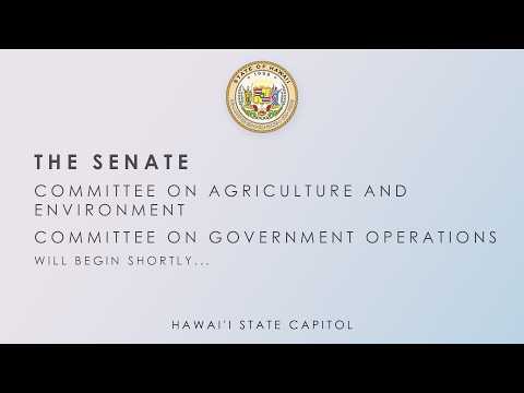 AEN-GVO DEFER, GVO DEFER, GVO-HHS, GVO-PSM, GVO Public Hearings 02-17-2026