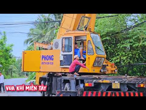 Toát mồ hôi !!! Vua khỉ cùng đệ T.ử cưa hạ cây Sao lớn có xe cẩu, cẩu nguyên thân (2/2).