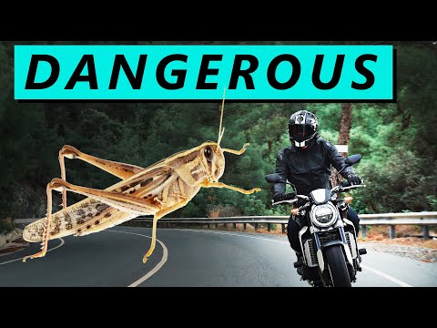 5 Things NO ONE TELLS YOU about Motorcycles