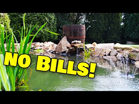 Pond bog filter setup - FREE power!