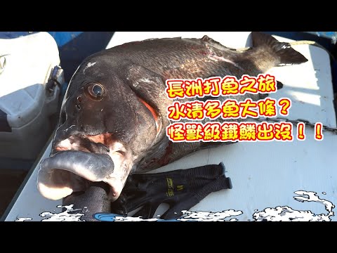 【漁人推介】阿火帶大家出海潛水，長洲打魚之旅，水清多魚大條？怪獸級鐵鱗出沒！！Catch and Cook Seafood Receipe