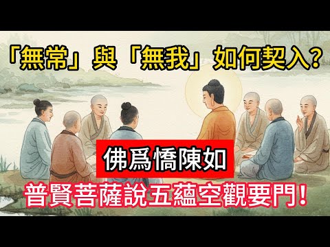 「無常」與「無我」如何契入？佛爲憍陳如，普賢菩薩說五蘊空觀要門！#佛學 #正能量 #菩提解脫道 #佛教文化 #佛教故事 #人生感悟