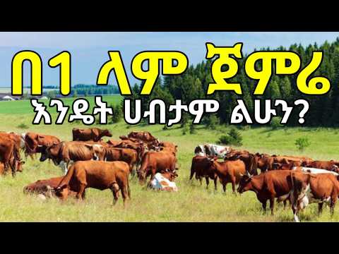 እንዴት በ1 ላም ጀምሮ ሀብታም መሆን ይቻላል? በዚህ መልኩ 13 ላሞችን ማርባት ከቻሉ አርብቶአደር ተሞክሮ ተምረን ተጠቃሚ እንሁን!