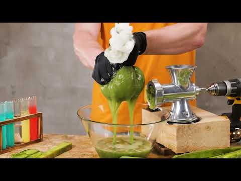 ECO-Leather Production || Cactus Farming and Harvest🌵