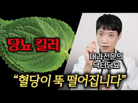 당뇨에 좋은 최고의 채소, 췌장 보호되는 최고의 항산화 채소 l 당뇨 환자 채소 TOP 3! l 채소 종류별 당뇨 예방 메타분석 l 닥터딩요