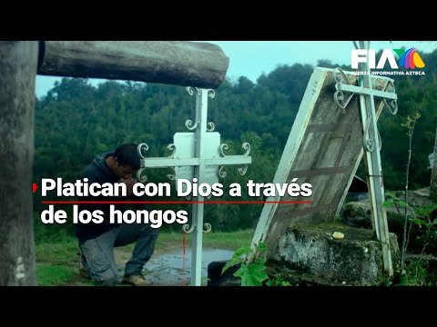 ¡Lugar de María Sabina! | En Huautla de Jiménez los "HONGOS sagrados" ayudan a TRATAR a las personas