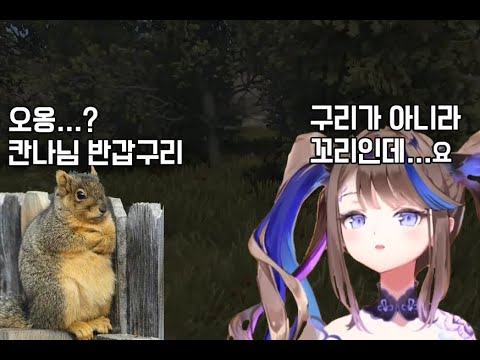 봇치 더 칸나 ㅣ 러스트