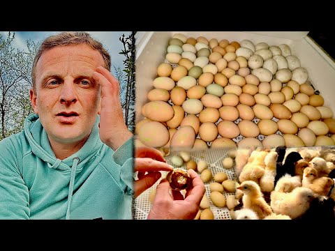 ԷՔՍՊԵՐԻՄԵՆՏ - Ինչպես ՁՎԻՑ ՃՏԵՐ ստանալ - ԵՐԲԵՔ չէի ՓՈՐՁԵԼ