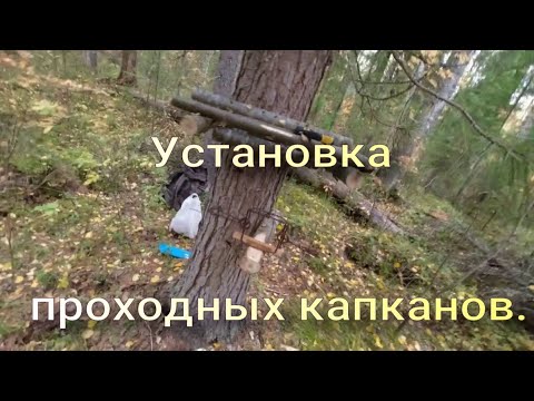 Верховая и низовая установка проходных капканов, перенёс путик Завершить работы помешал дождь