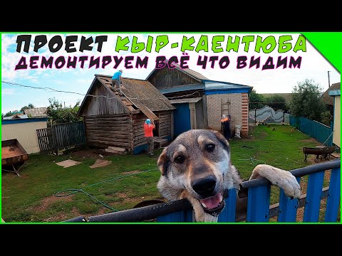 Вернулись к старым заказчикам. Демонтажные работы.  Проект - "Диля апа".  (1 серия )