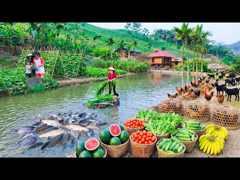 We Grew Too Much Food | Epic Harvest Gets Depleted Fast