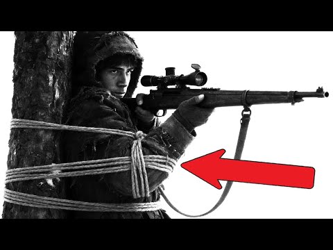 美國狙擊手把自己 「綁樹上」 被所有人嘲笑 —— 直到他在 72 小時內獨自擊斃 87 名德國人,過程震驚...