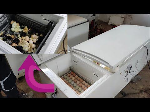 Basit Tam Otomatik kuluçka makinesi yapımı, Detaylı Anlatım