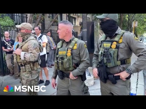 'There is no purpose': Reporter on the ground in Chicago reacts to National Guard presence in city