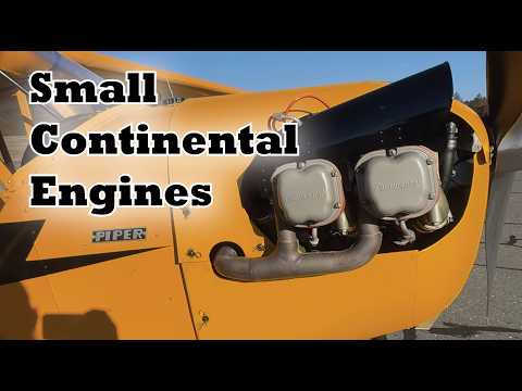 Small Continentals - Things To Consider Before You Buy