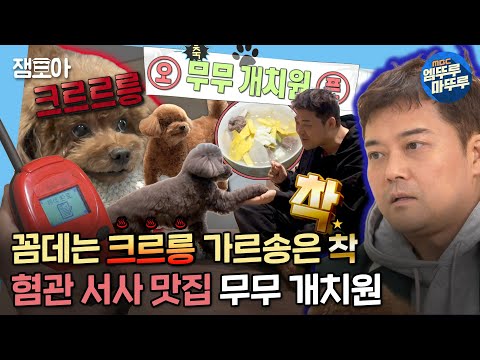 [나 혼자 산다]딱 보니 메인이 꼼데, 서브는 가르송🧐무무만 조련당하는🤦‍♂️무무 개치원🐶| #전현무 #꼼데 #가르송 MBC220311방송