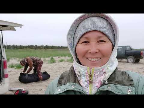 Our fishing rods are cracking. Fishing in the Sea of ​​Okhotsk.