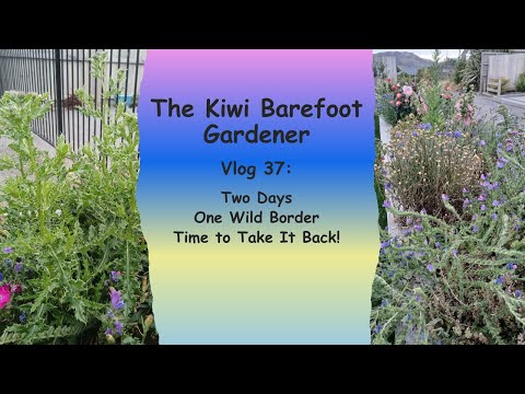Two Days - One Wild Border - Time to Take it Back! Vlog 37