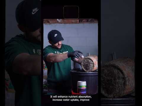 Why I Never Transplant Without This Fungi π§ͺπ± Boost Roots Instantly with Mycorrhizae!