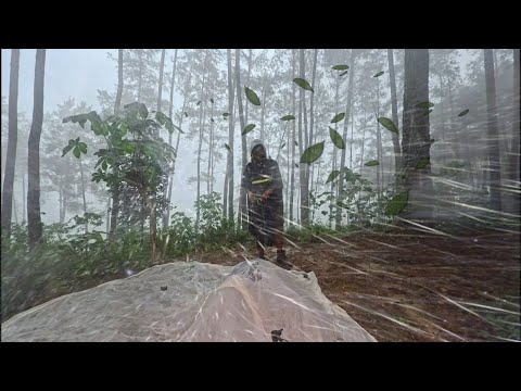 CAMPING IN HEAVY RAIN STORM AND THUNDER ⛈️ HEAVY RAIN RELENTLESSLY STRUGGLING TO SET UP TENTS