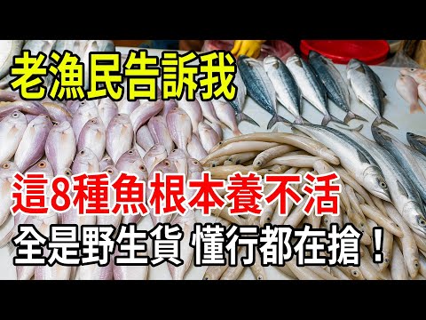 An experienced fisherman reveals: These 8 types of fish simply cannot be raised domestically! They..