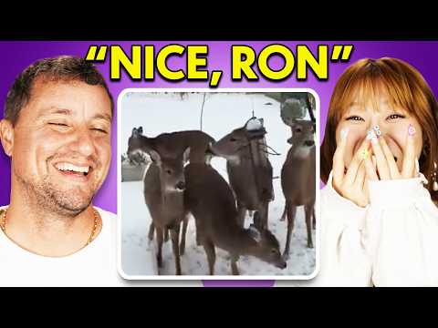 Try Not To Laugh Challenge: Craziest Internet Videos!