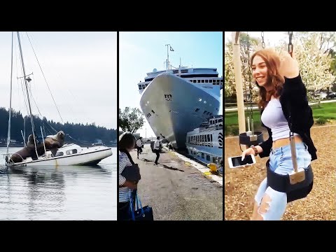 Ozzy Man Reviews: MEGA COMPILATION #10