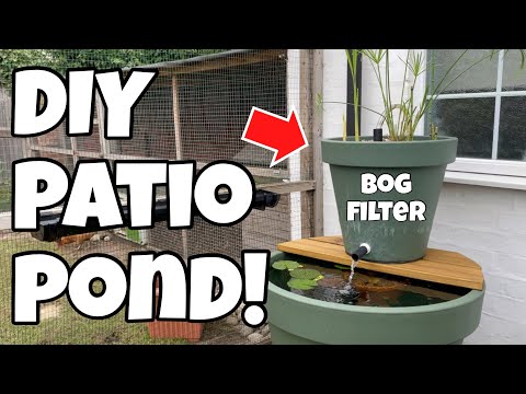 DIY ‘Patio Pond’ Build, with BOG FILTER!
