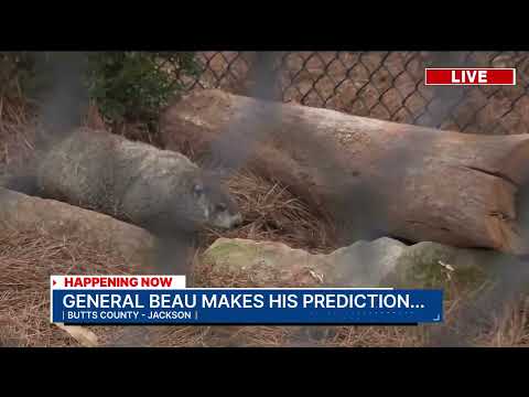 Georgia groundhog Beauregard Lee makes his prediction
