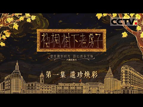 《梧桐树下老房子》01 遗珍焕彩：外滩1.5公里长的道路上 矗立着23幢风格迥异的老大楼 构成了令人叹为观止的外滩万国建筑博览群【CCTV纪录】