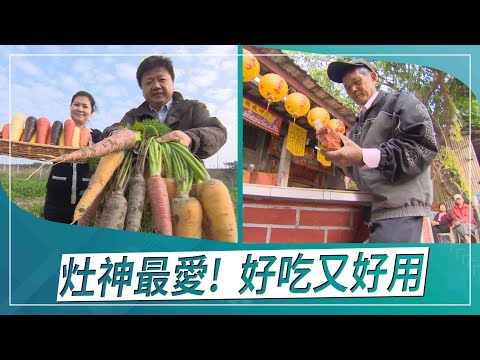 草地狀元-灶神最愛好吃又好用(2021.02.15播出)