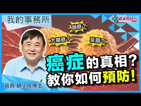 【我的事務所】癌症是由發炎引起？有什麼食品有助預防癌症？｜顧小培 劉婉芬