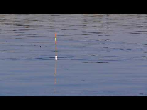 ОСЕННИЙ ЖОР РЫБЫ И РАКА НАЧАЛСЯ! УДАЧНАЯ ОСЕННЯЯ РЫБАЛКА! Рыбалка на поплавок на карася с берега