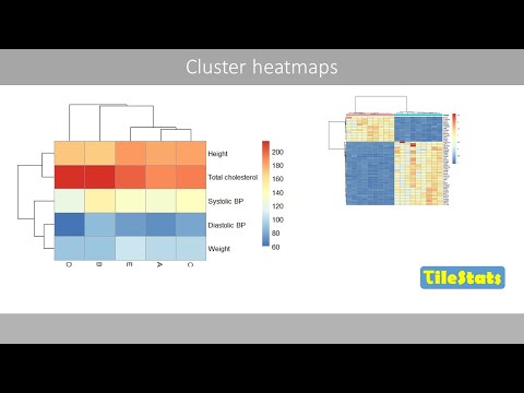 Understanding cluster heat maps