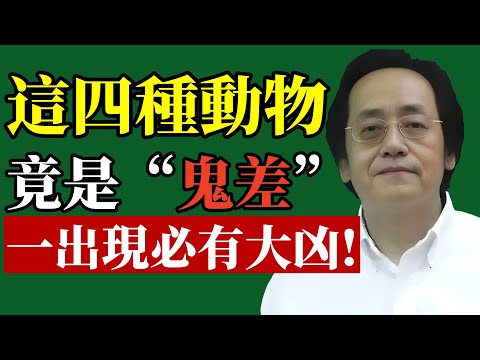 倪海廈：4种动物四種動物竟是鬼差！一出現也許代表身邊有人陽壽將盡！#倪海廈 #風水 #易經 #改運 #生死 #中醫 #能量 #身心靈 #預兆 #趨吉避凶