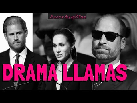 DRAMA LLAMA - Harry Married The Drama