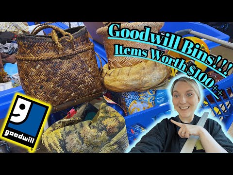 Let GO To Goodwill Bins!! I Refused To LEAVE And it Paid OFF! Items To Sell For💥$100++💥HAUL!