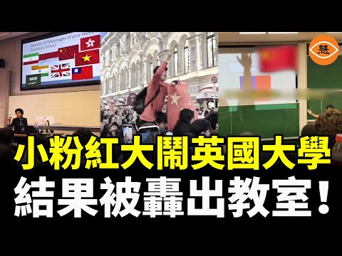 小粉紅海外出征，大鬧英國大學 ！結果被轟出教室！全世界都看笑了