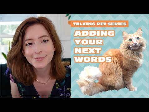 Adding Your Next Words | Talking Pet Series