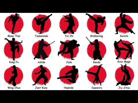 Every MAJOR MARTIAL ART STYLE Explained In 12 Minutes
