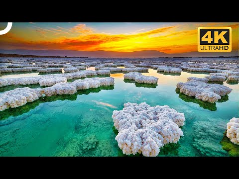 JORDAN: UNSOLVED SECRETS OF THE DEAD SEA | Miracles Of Nature | 4K Nature Documentary