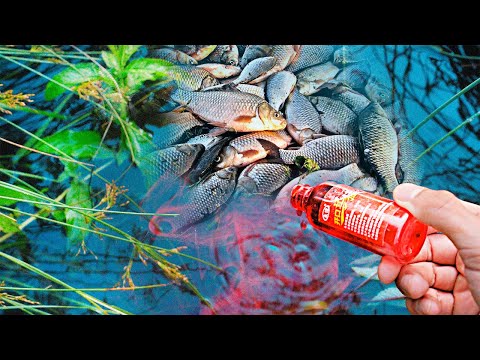 11 ЛАЙФХАКІВ ДЛЯ РИБОЛОВЛІ!